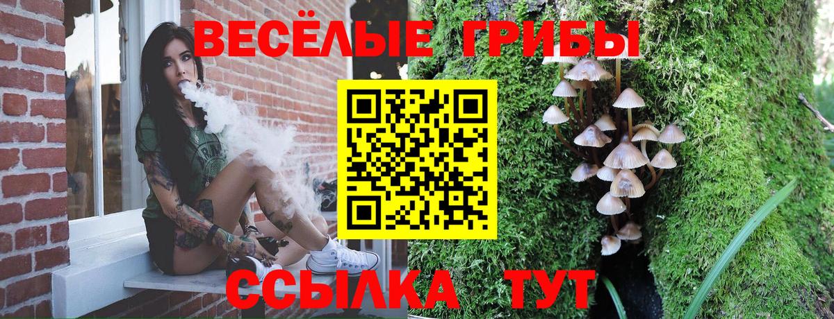Псилоцибиновые грибы прущие грибы  Псилоцибиновые грибы MAGIC MUSHROOMS  Вход с VPN  Анжеро-Судженск 