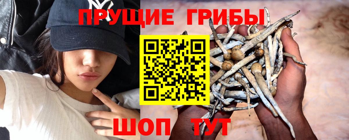 Галлюциногенные грибы прущие грибы Анжеро-Судженск
